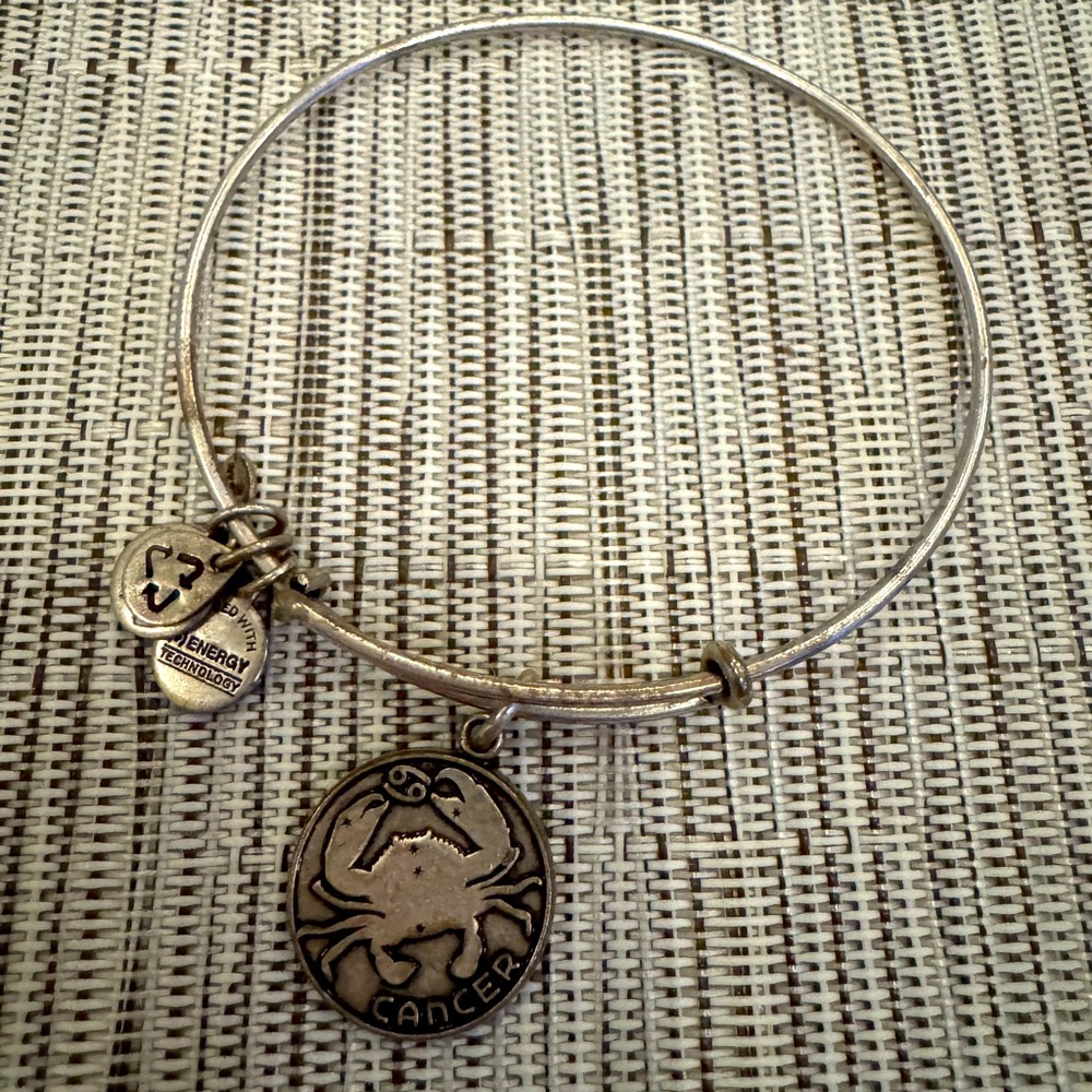 Alex and Ani 2013 Silver Cancer Zodiac Charm Bracelet